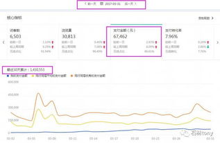 专业性电子商务咨询案例