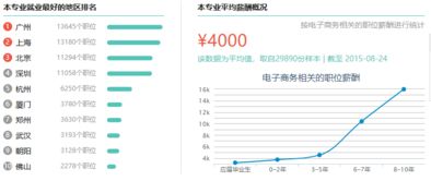 电子商务分析专业