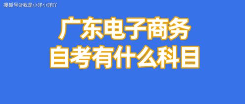 电子商务考研可考专业