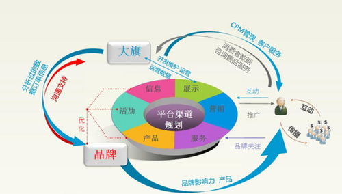 电子商务的专业历程