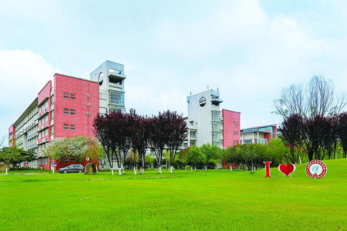 合川大学 电子商务专业