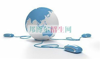 电子商务专业从事什么