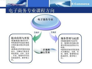 电子商务专业拓展岗位